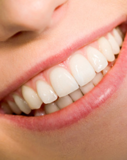 Tatigkeitsschwerpunkt Parodontologie Fur Ganzheitliche Zahnmedizin